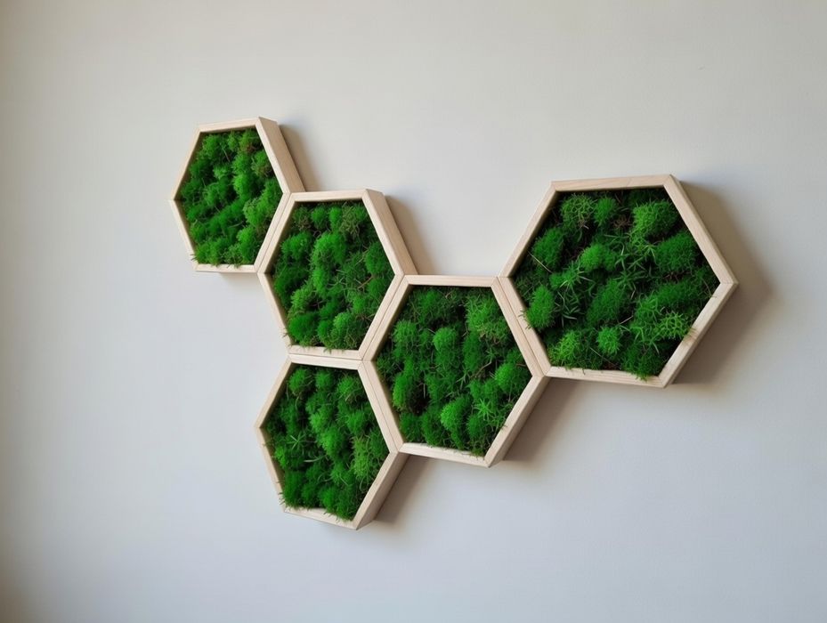 Шестоъгълна дървена рамка, Дървена рамка пчелна пита