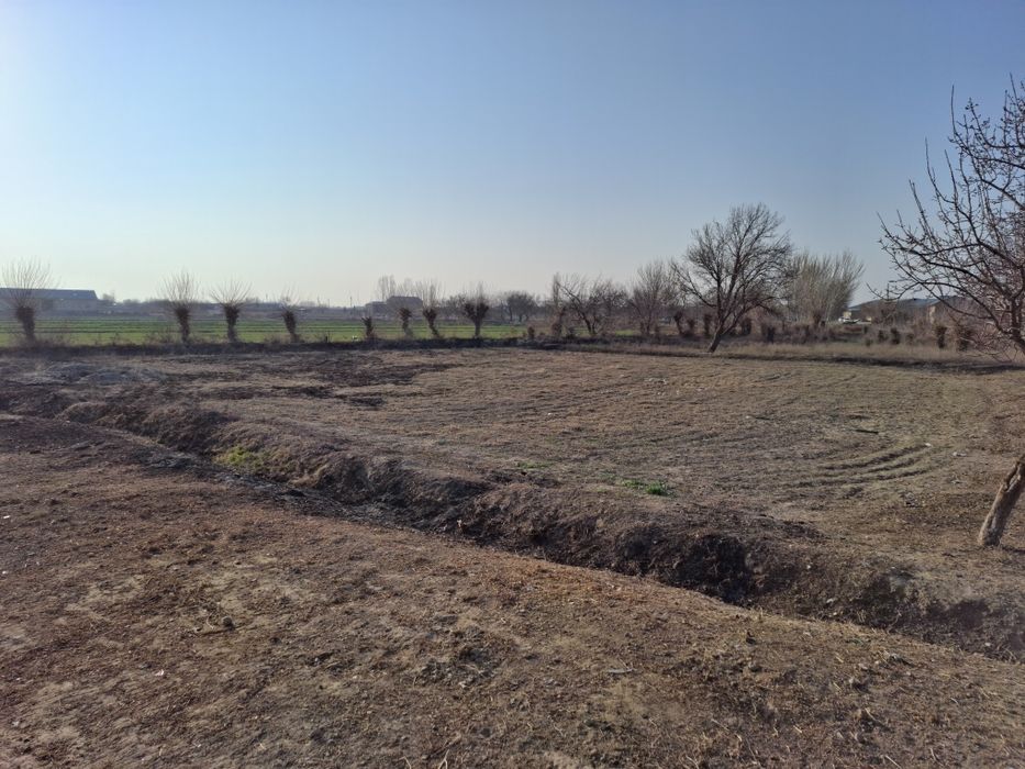 Yer sotiladi Buxoro viloyat shofirkon tuman