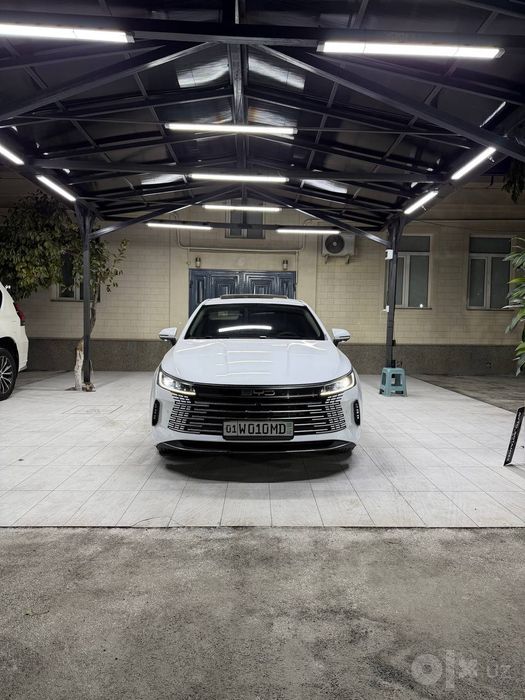 BYD chazor 2024 2 poz