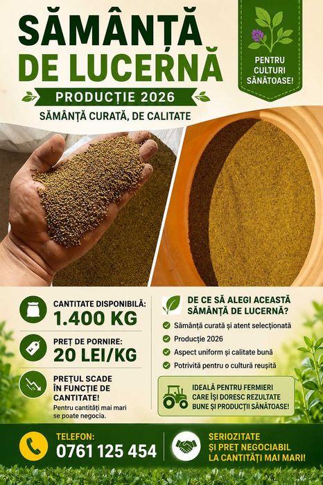 Samanță de lucernă curată
