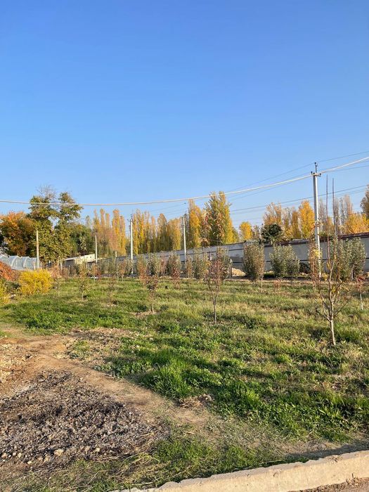 Teplitsa sotiladi hamma sharoit bor