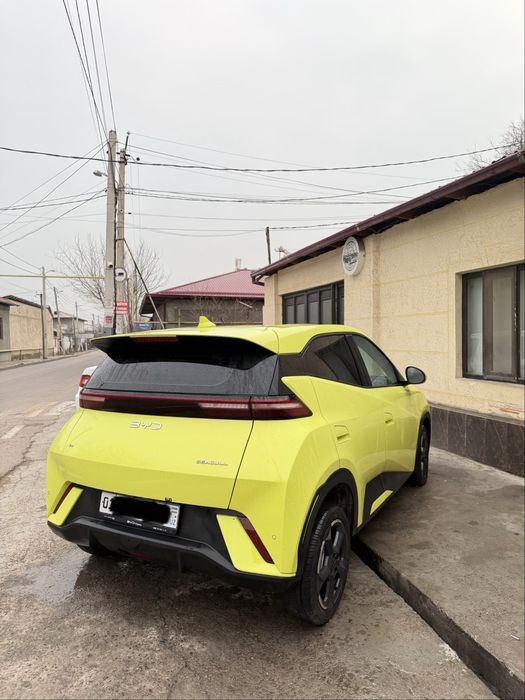 Byd seagull arenda, vikup