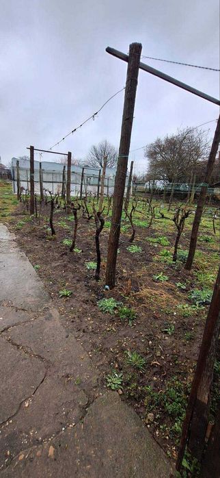 3.4 дка в с. Златия област Добрич