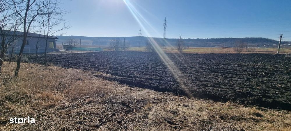 Teren la asfalt in Manolesti zona de case noi