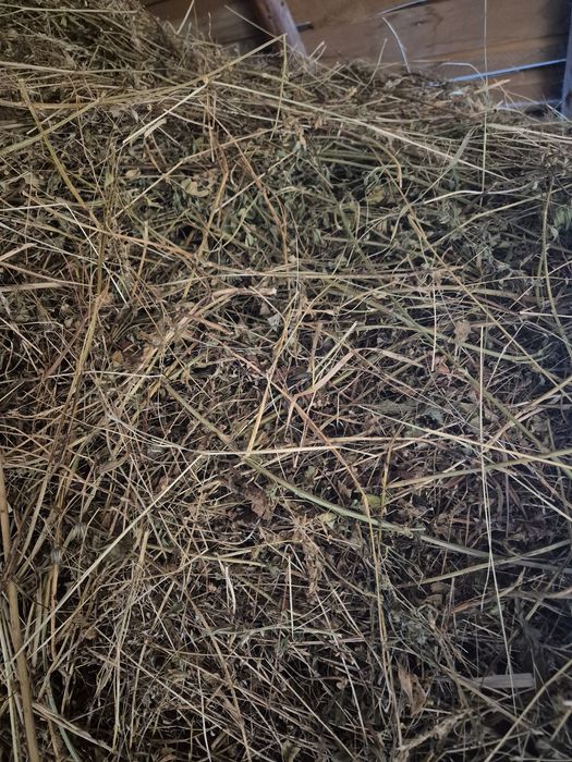 Vând lucernă și fân de gradina