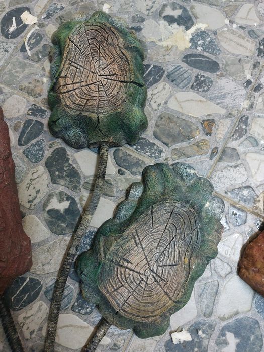 Pietre incalzitoare terariu