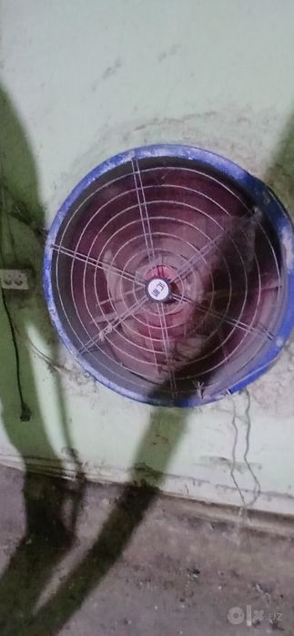 Bedana biznes jixozlar arzon narhda