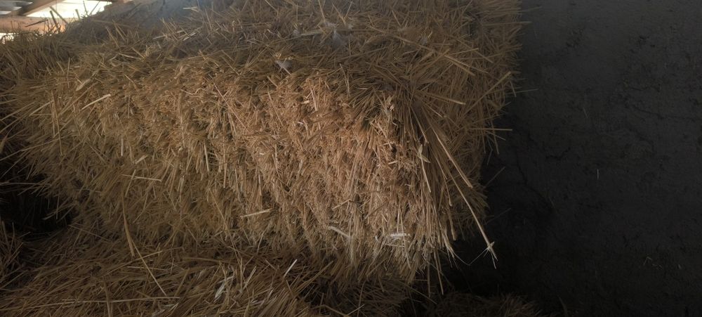 Пшен шоп сатылады доставка