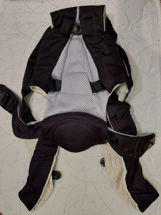 Кенгуру спинку держит