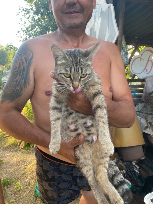 Срочно ищут дом!