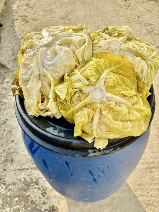 Varza murata romaneasca