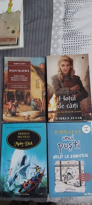 Carti copii/adolescenti, lectura scoala: multe carti