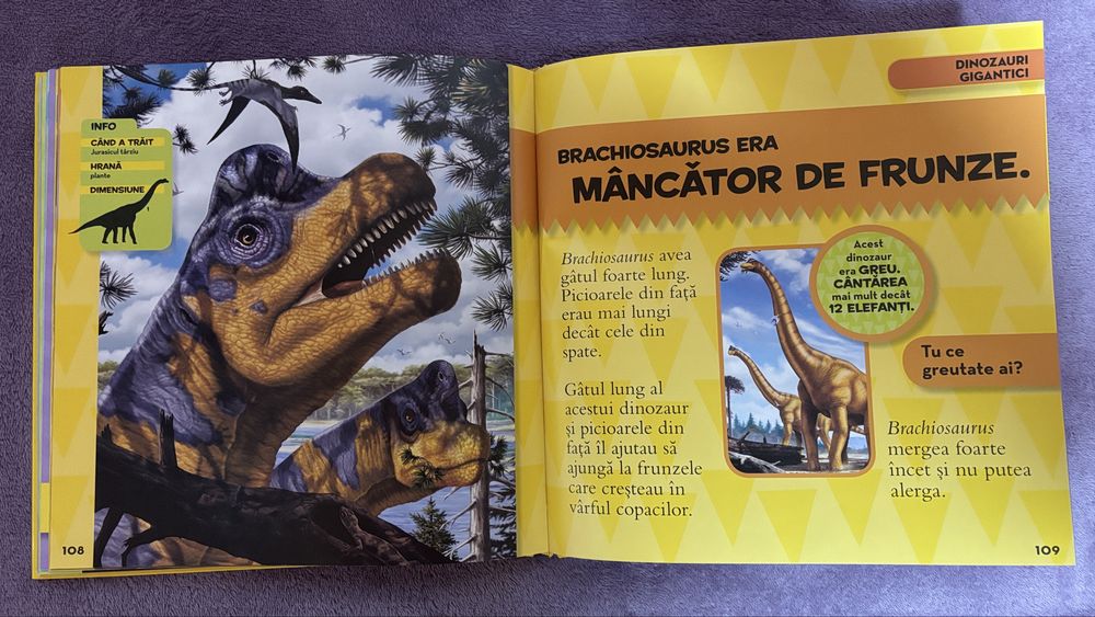 Lot National Geographic kids