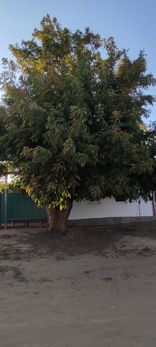 СРОЧНО! Продается  частный дом! Возможен обмен!