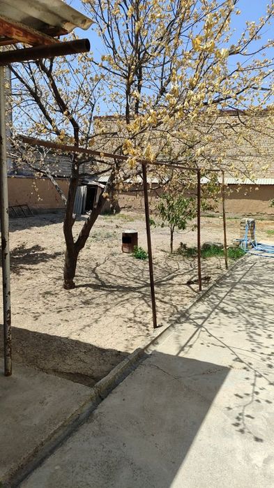 Лимонарияда Зур локацияда курук кадастрли ер сотилади