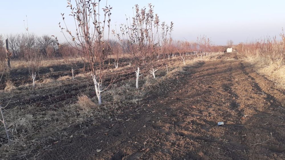 Продам участок поле