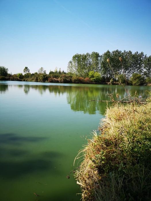 Частен язовир-рибарник Под наем