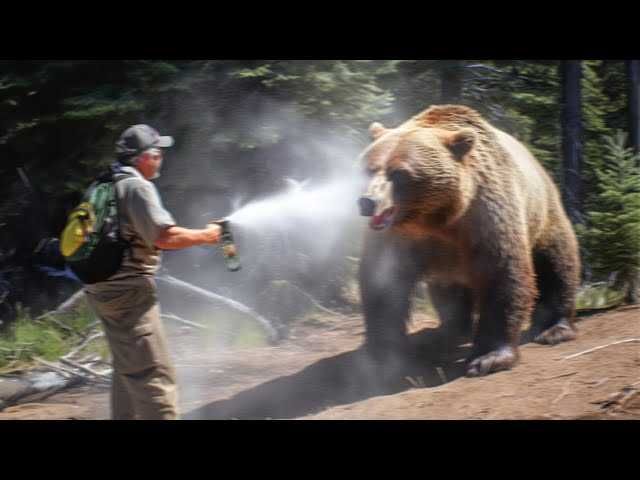 Spray impotriva ursilor,cainilor,animalelor salbatice,made in USA,nou!