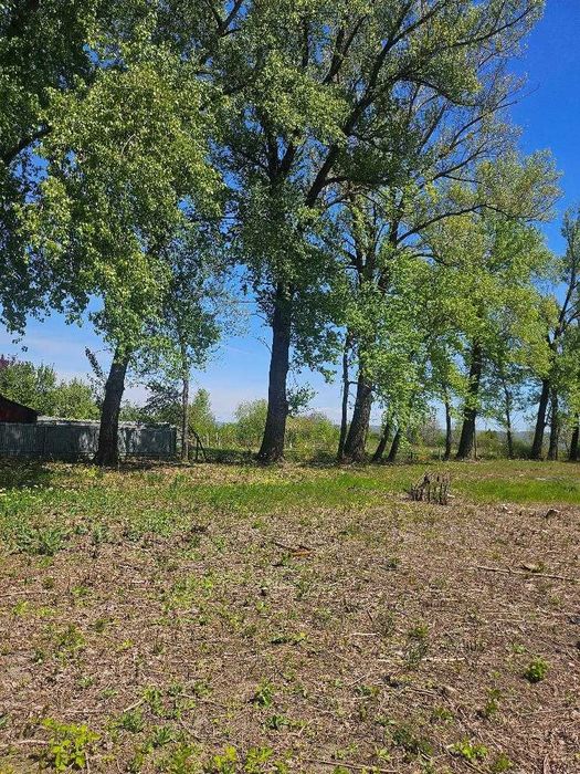 Investiție sigură! 6.200 mp intravilan, pe E85, lângă autostrada A7