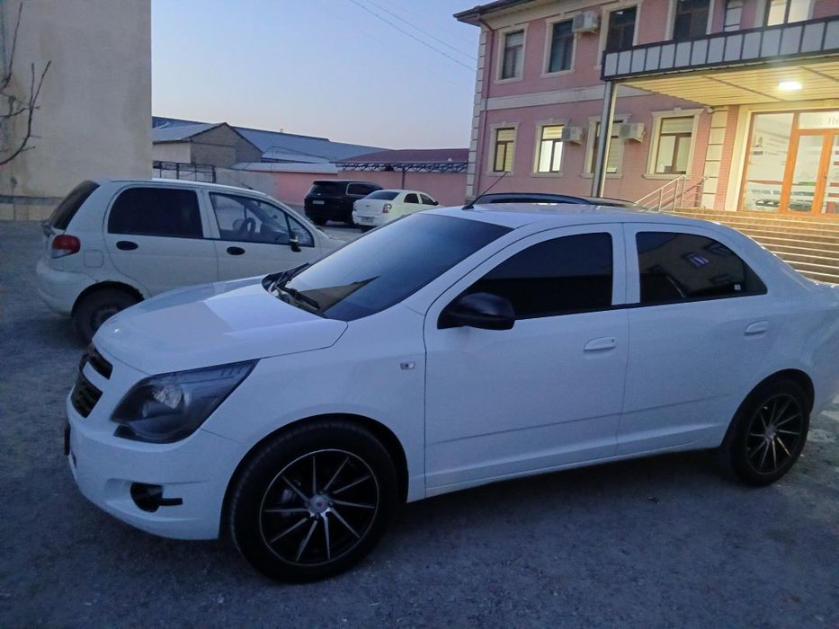 Cobalt diska vossen R17