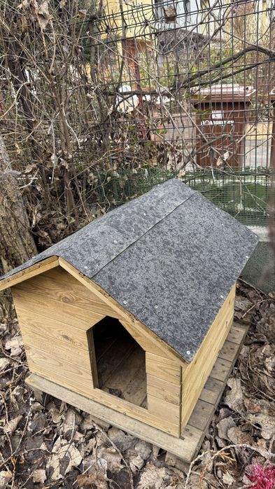 Cușcă câine din lemn – solidă, rezistentă