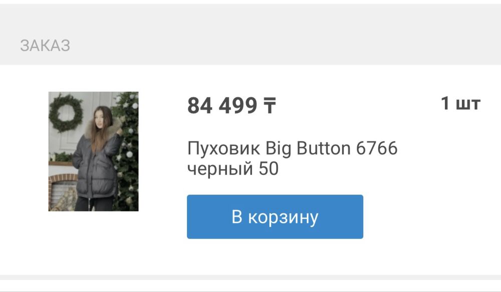 Куртка зимняя хорошое