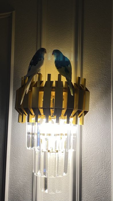 Продам попугаев с клеткой