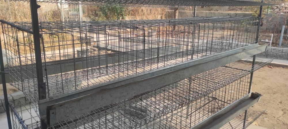 Клети для кур несушек