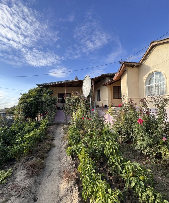 Casa de vanzare plina de viata! Nu ratati aceasta ocazie!