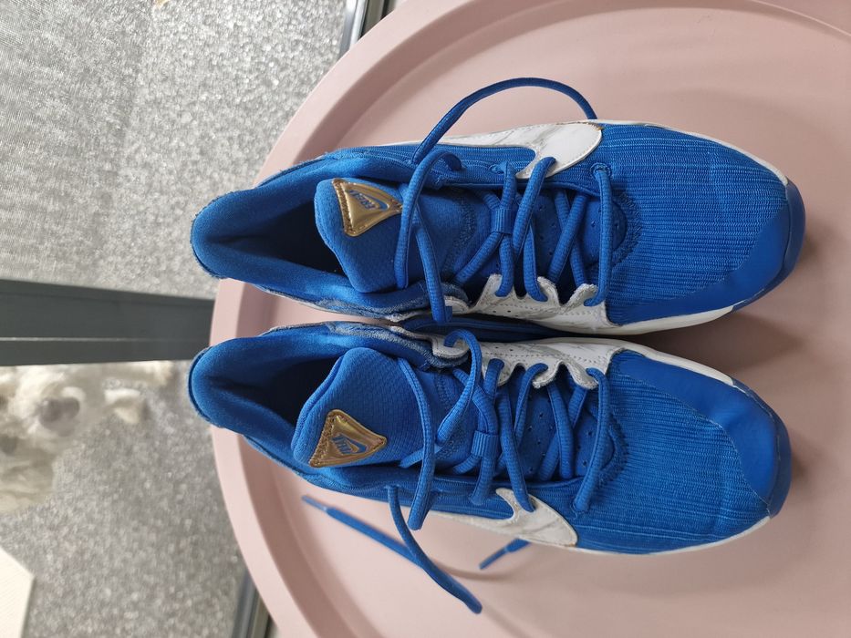 Ghete baschet Nike Zoom Freak 2 SE