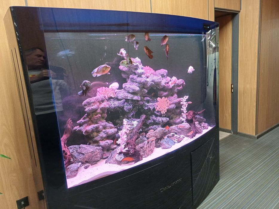 Аквариум:изготовление,обслуживание,дизайн,ремонт..