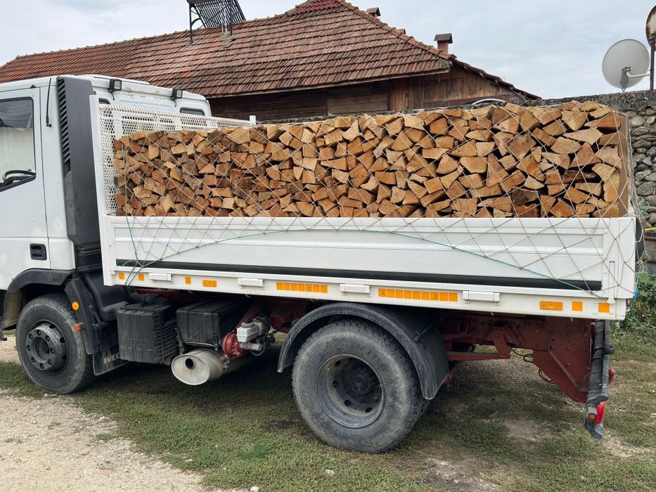 Lemne de foc esență tare