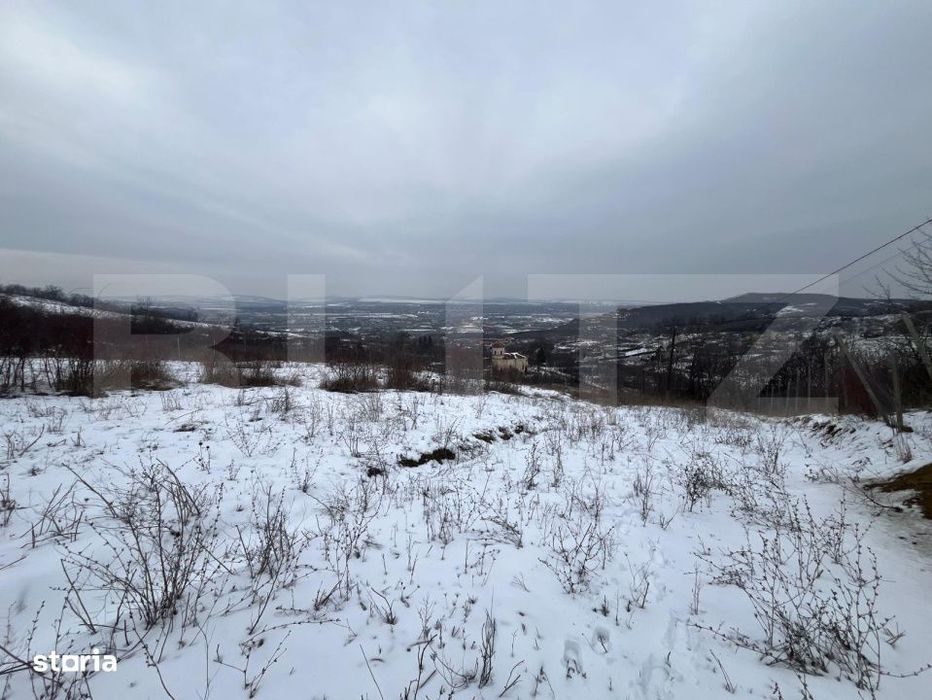 Teren 1240 mp intravilan, Vladiceni
