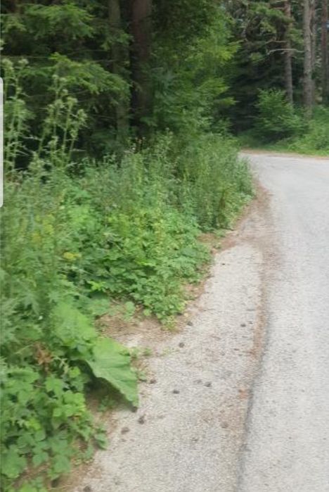 Продава инвестиционен парцел в Паничище