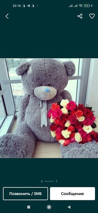 Teddi Teddy ayiqchalar 30 sm 3m gacha