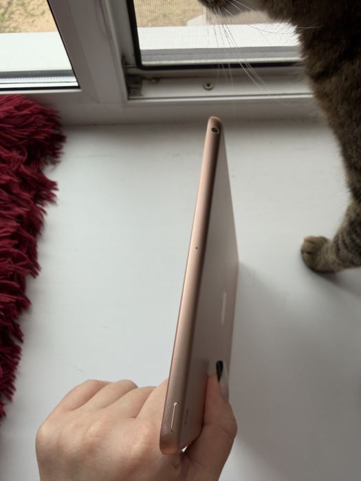 Ipad 6го поколения