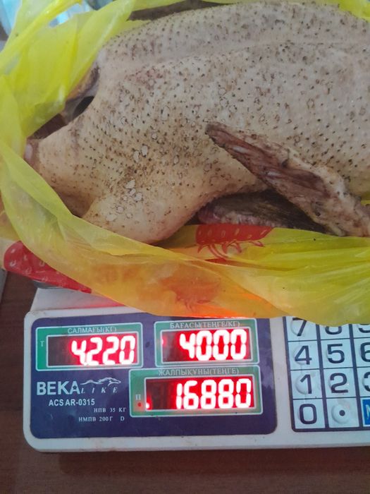 Мясо индоутки продаются