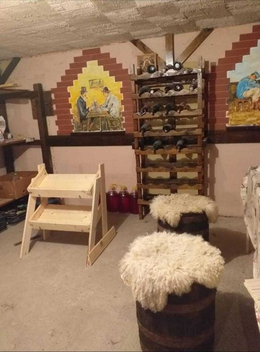 Vilă 410 mp utili – com. Fântâna Mare, lângă Fălticeni, 11770 mp