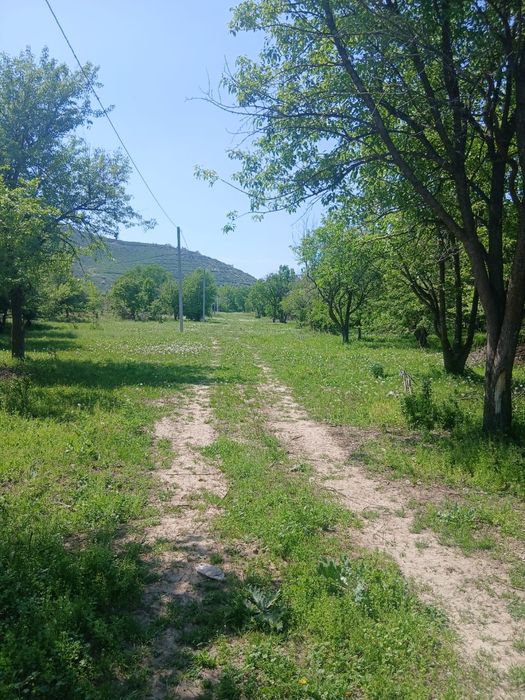 Продаются участки у подножия гор