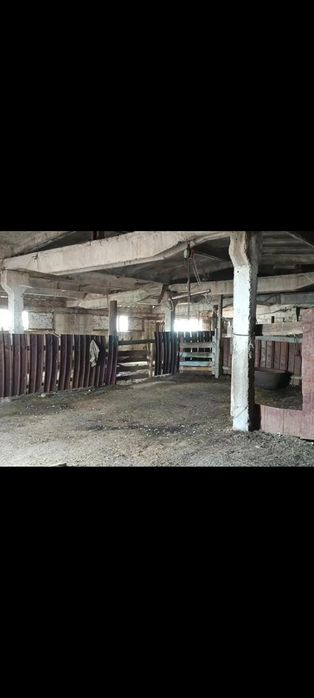 Продаётся крестьянское хозяйство