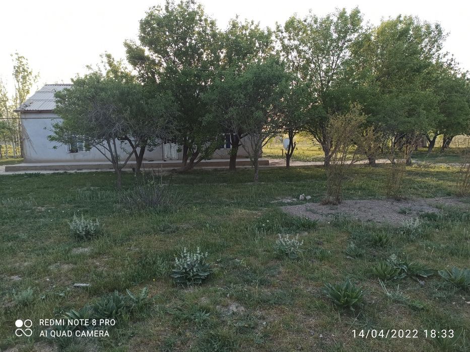 Uy sotiladi uy variantga ham sotiladi