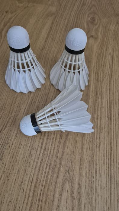 Fluturasi Badminton RSL