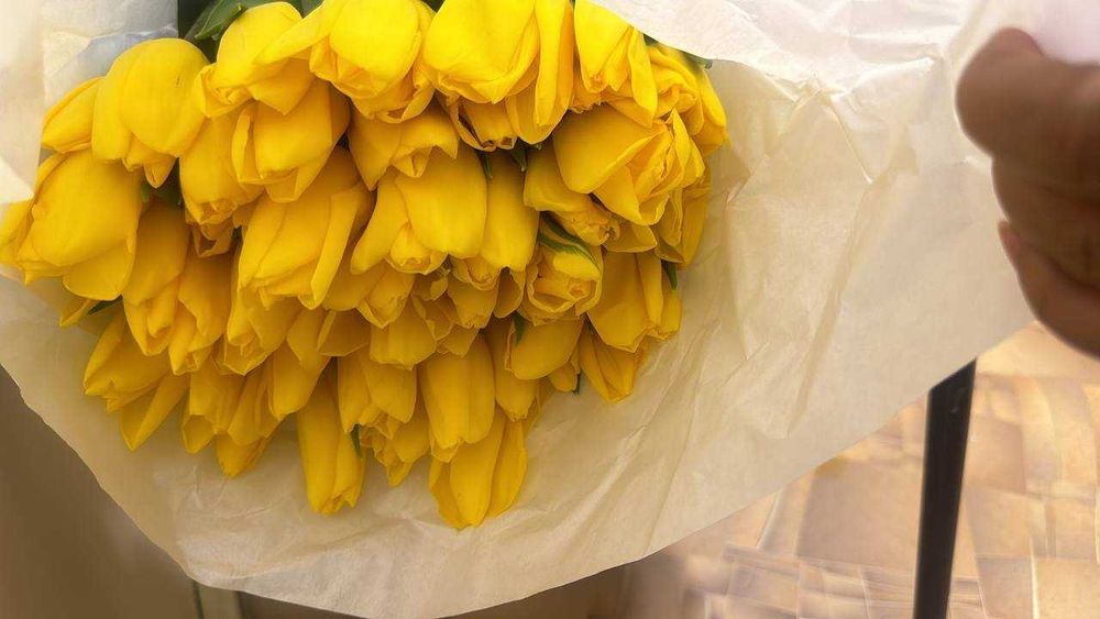 Премиальные тюльпаны