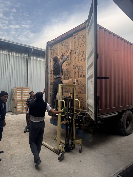 Бетономешалка 220в