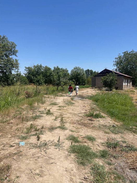 Земля 120 соток Ташморе