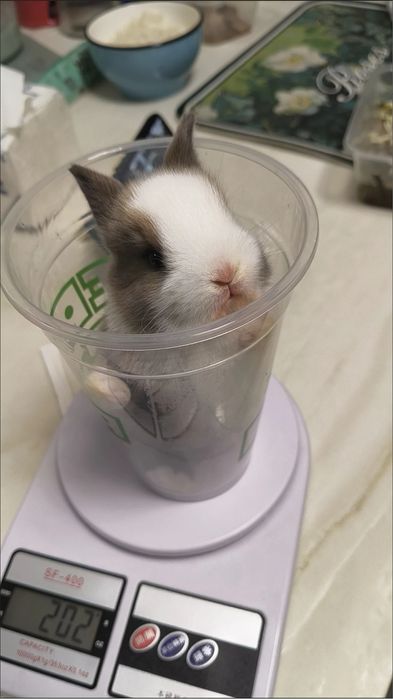 Yurakda qoladigan sovg‘a