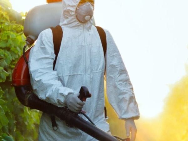 Servicii profesionale DDD – deratizare | dezinsecție | dezinfecție