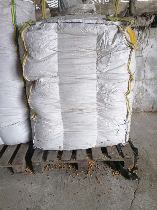 Porumb boabe de vânzare