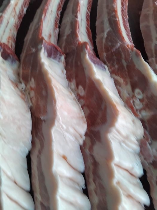 Продам мясо конина