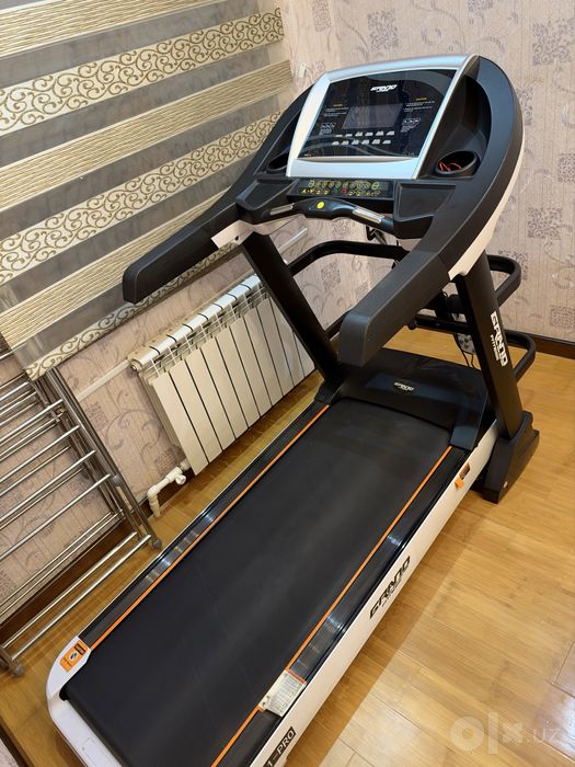 Grand fitness begavoy darojka